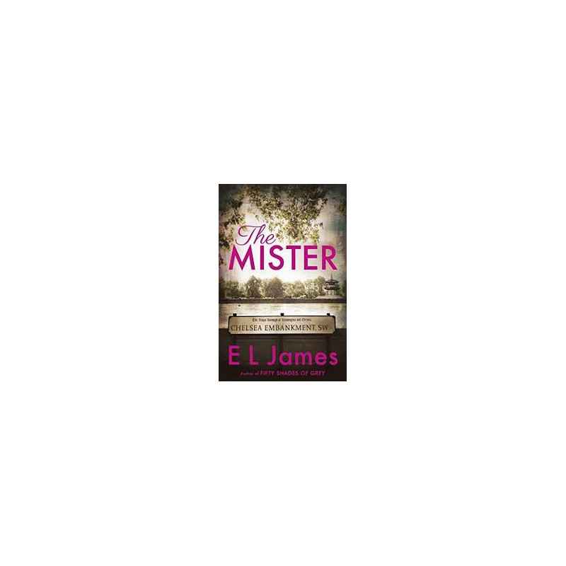 the mister by el james review