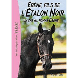L'Étalon Noir 22 - Un cheval nommé Ébène Format Kindle9782017039877