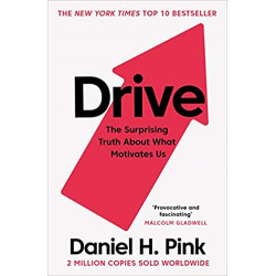 Drive: The Surprising Truth About What Motivates Us -DANIEL H.PINK9781786891709