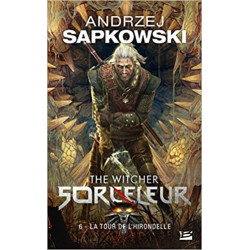 Sorceleur, Tome 6: La Tour de l'Hirondelle (Français) Poche – de Andrzej Sapkowski9782811207489