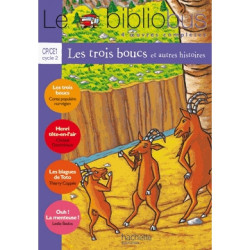 Le Bibliobus n° 12 CP/CE1 Cycle 2 Parcours de lecture de 4 oeuvres complètes9782011165084