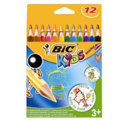 crayon de couleur de 12 evolution triangle bic3086124001632