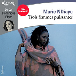 Trois femmes puissantes Marie NDiaye (Auteur),9782070440498
