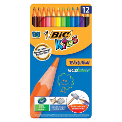12 crayons de couleurs boite en metal bic